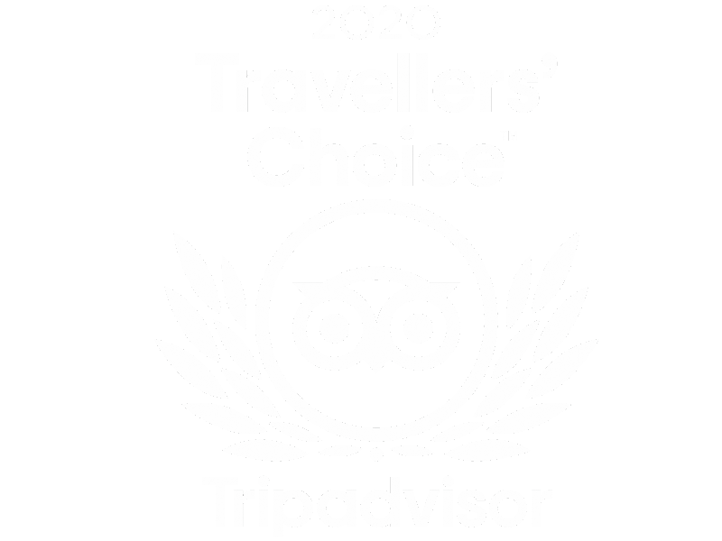 trip20